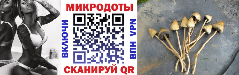 Галлюциногенные грибы мухоморы  Валуйки 